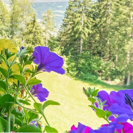 Apartment Edelweiss *